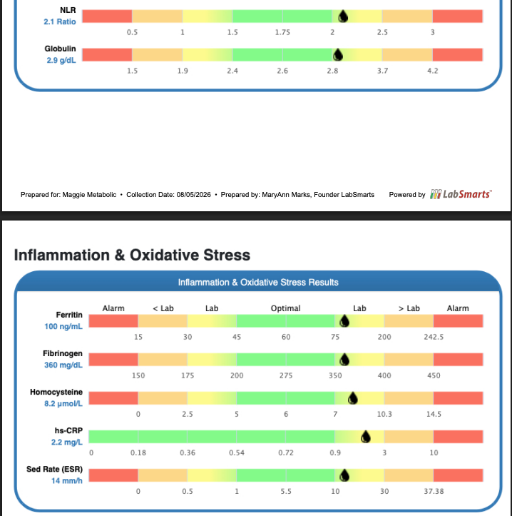 LabSmarts Analysis Report PDF Page